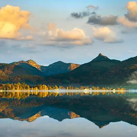 Apartment Wolf&schaf *